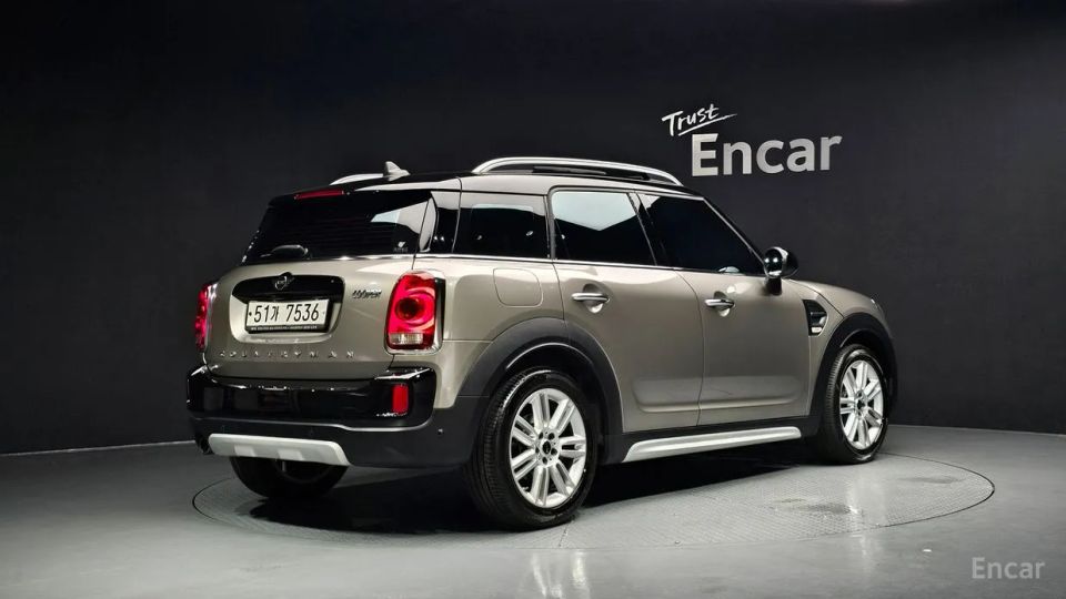 Mini countryman