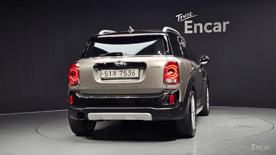 Mini countryman