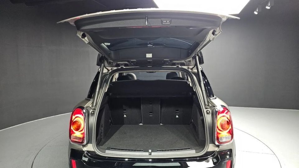 Mini countryman