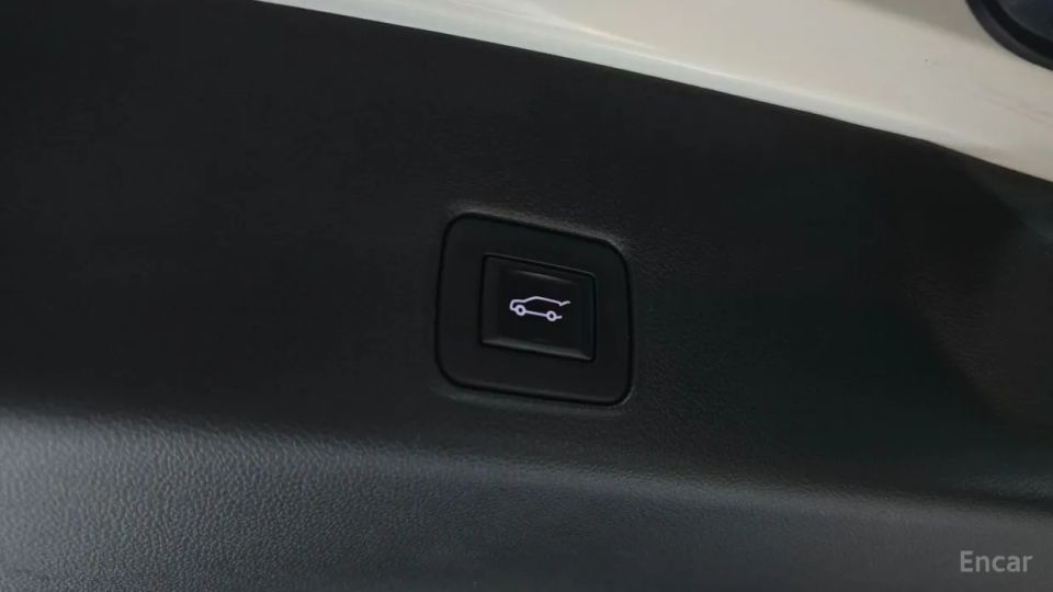 ChevroletGMDaewoo Trailblazer