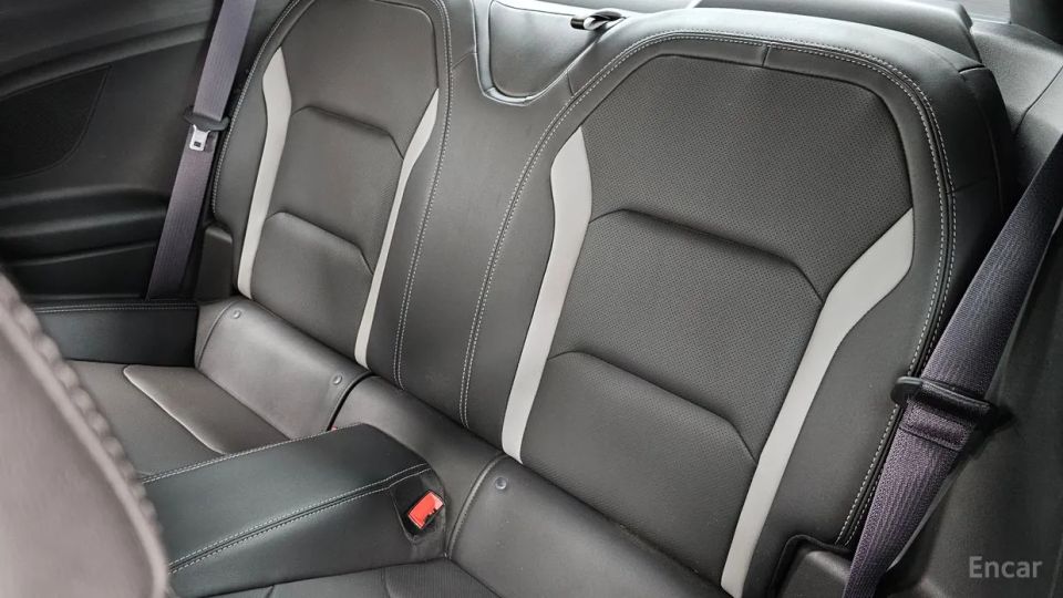 ChevroletGMDaewoo Camaro