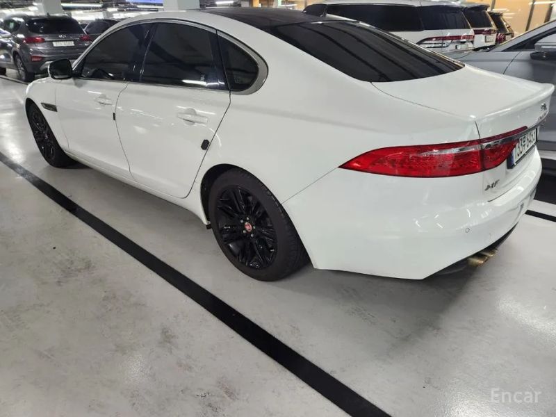 Jaguar xf