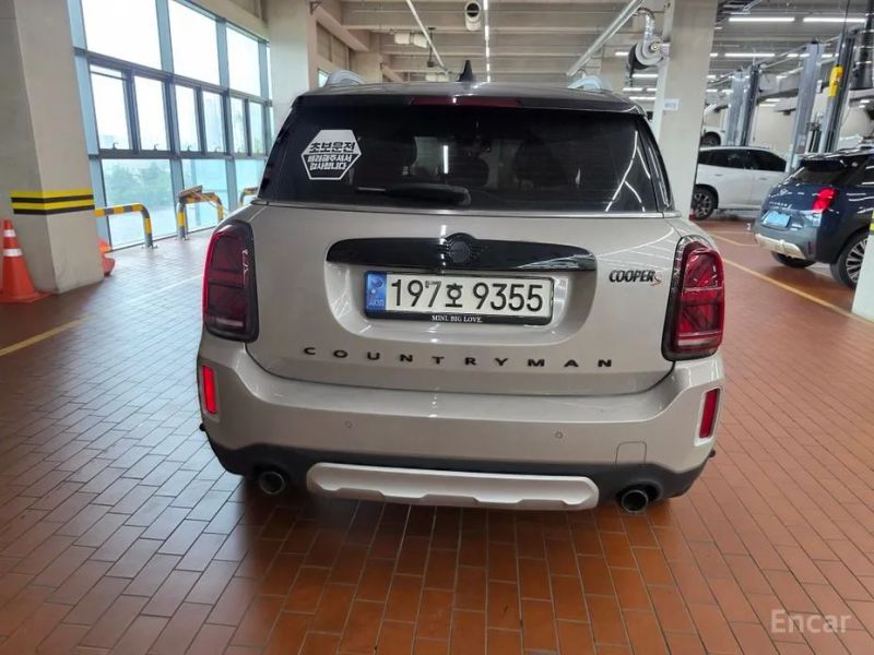 Mini countryman
