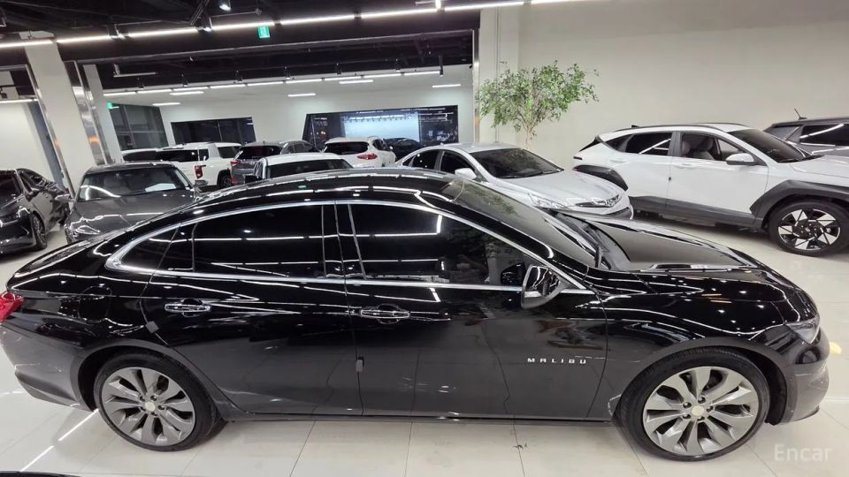 ChevroletGMDaewoo Malibu