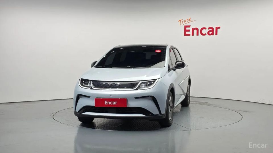 BYD Dolphin