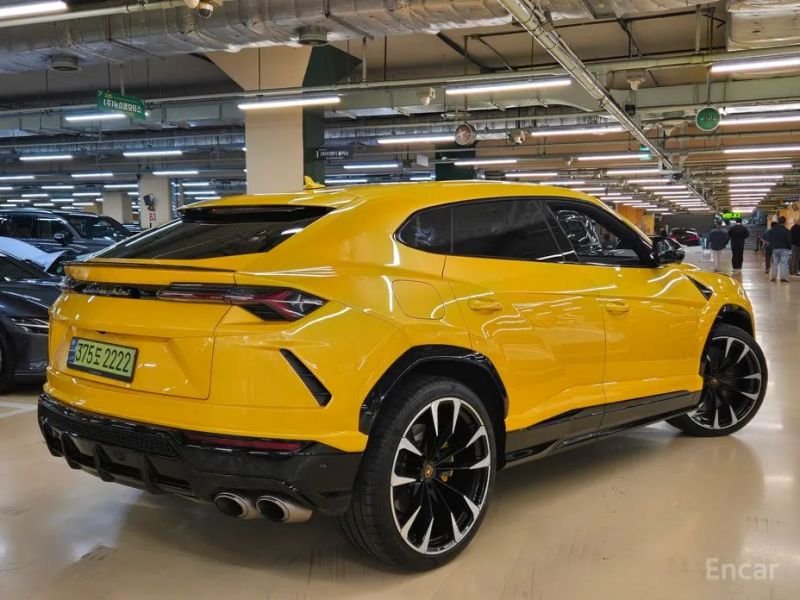 Lamborghini urus