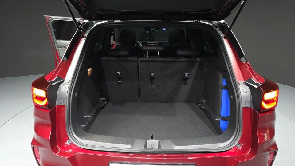 ChevroletGMDaewoo Trailblazer