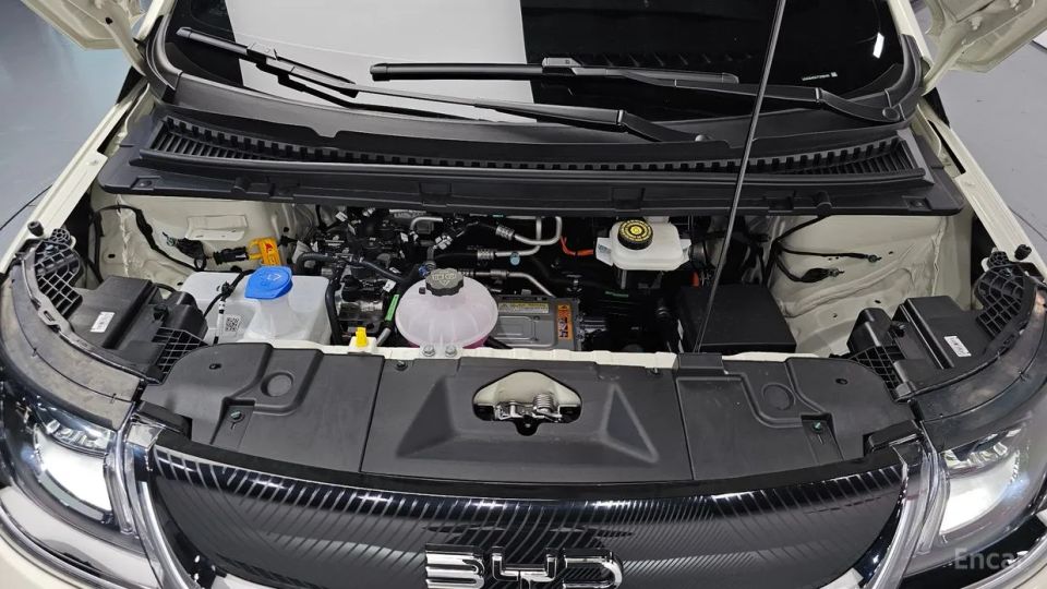 BYD Dolphin