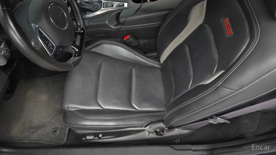 ChevroletGMDaewoo Camaro
