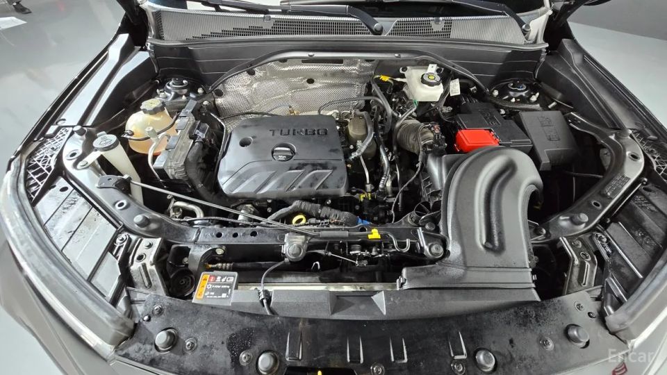 ChevroletGMDaewoo Trailblazer