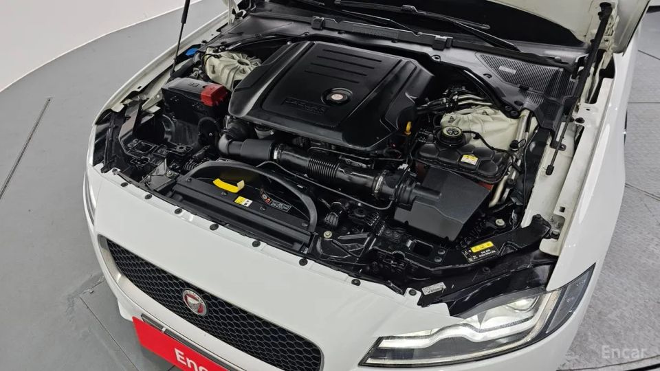 Jaguar xf