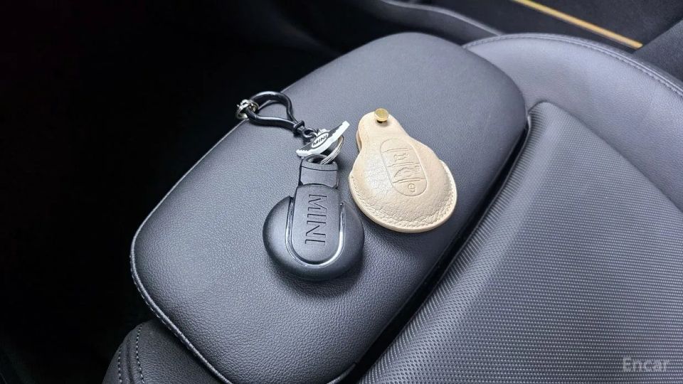 Mini countryman