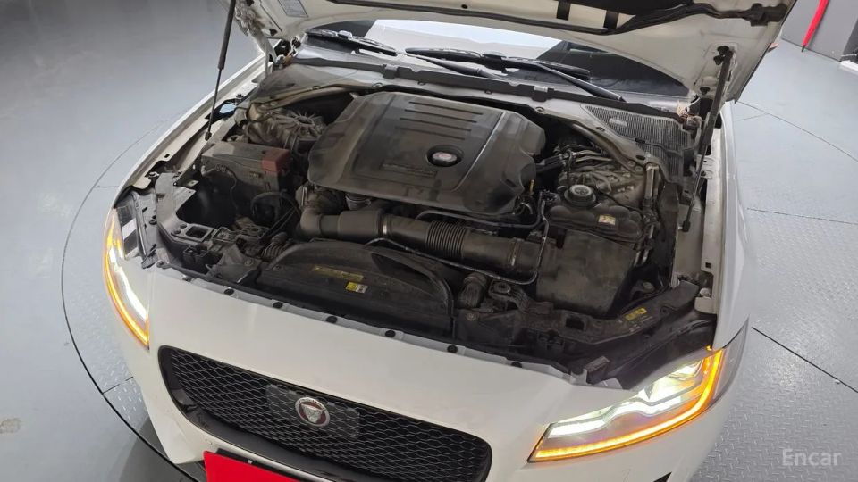 Jaguar xf