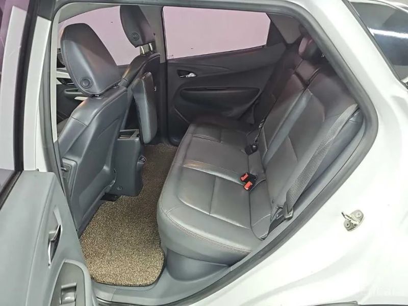ChevroletGMDaewoo Bolt EV