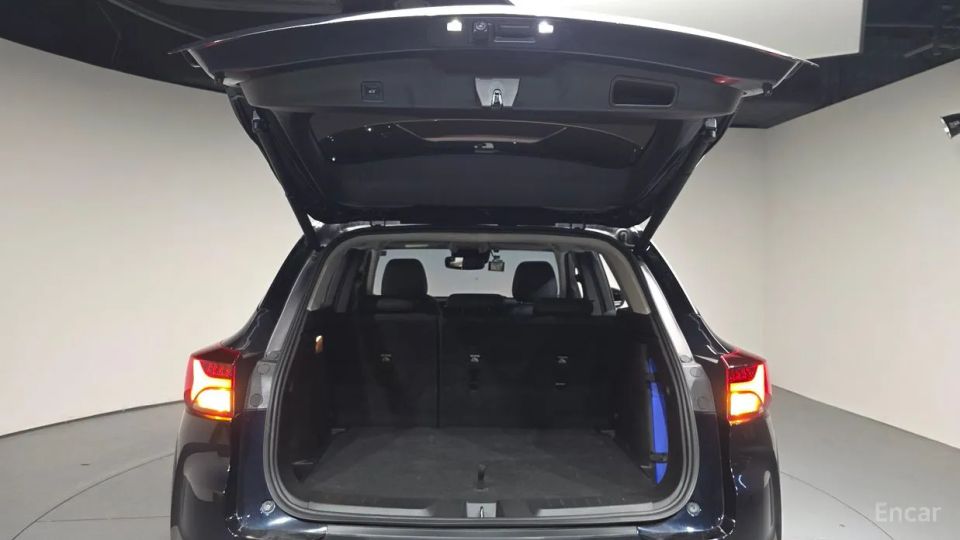 ChevroletGMDaewoo Trailblazer