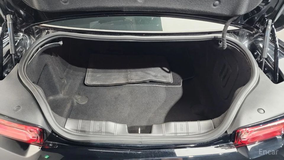 ChevroletGMDaewoo Camaro