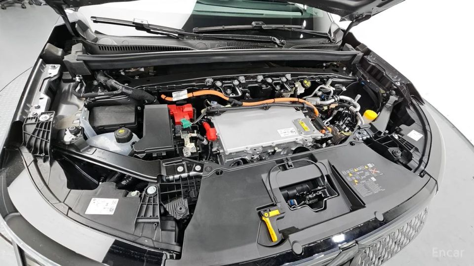 Renault-KoreaSamsung Scenic