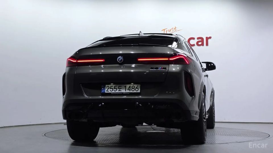 BMW X6M