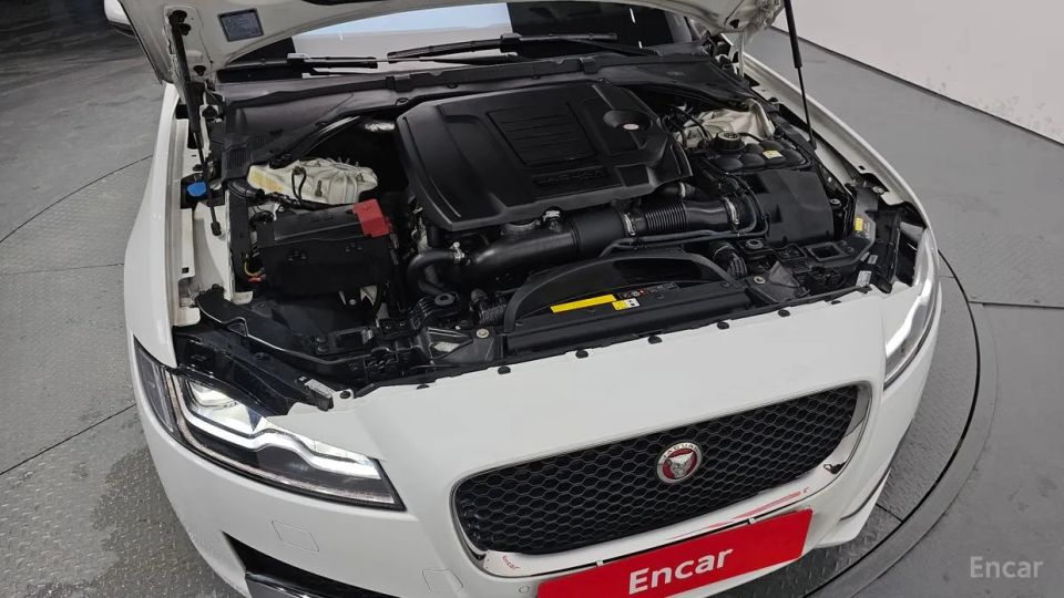 Jaguar xf