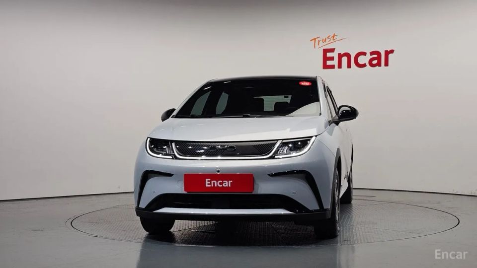 BYD Dolphin