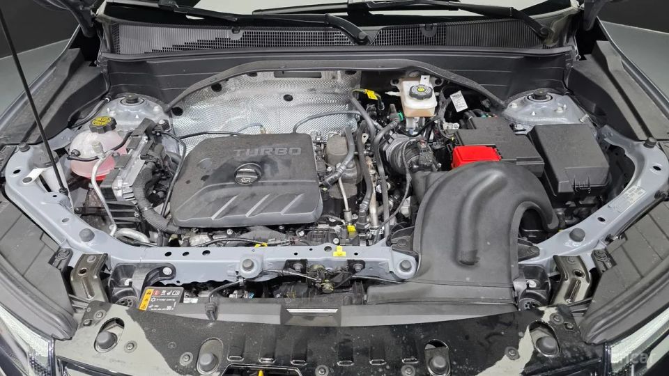 ChevroletGMDaewoo Trailblazer