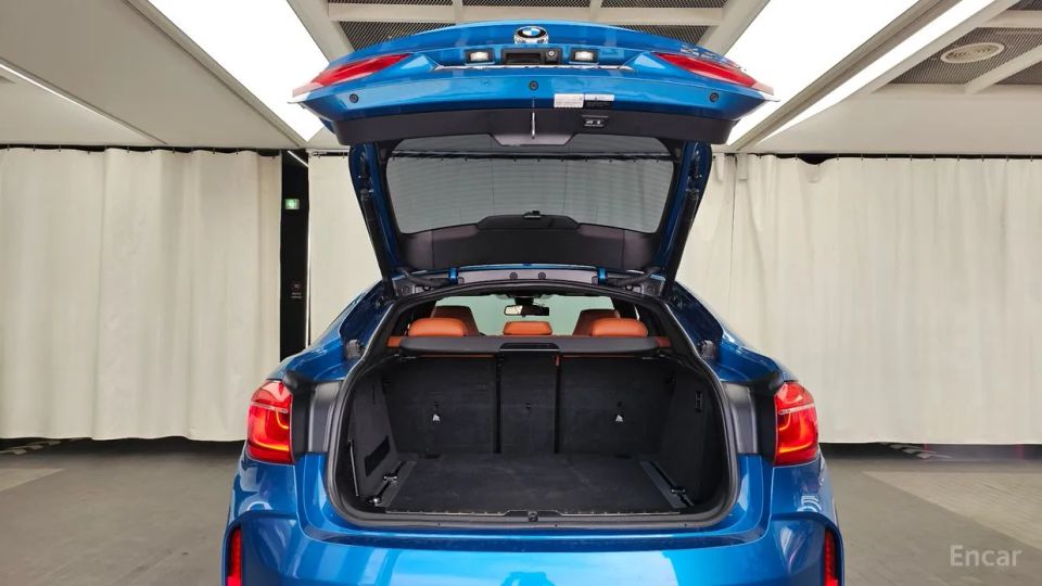 Bmw X6M