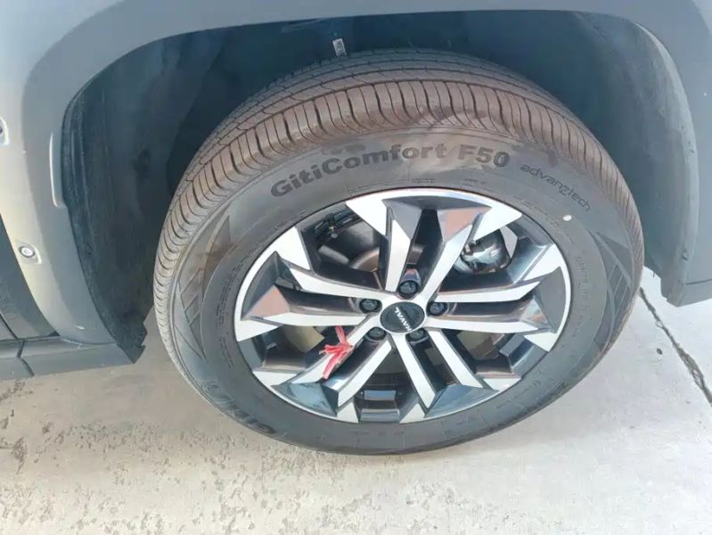Haval bigdog