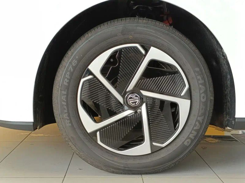 Mg model4