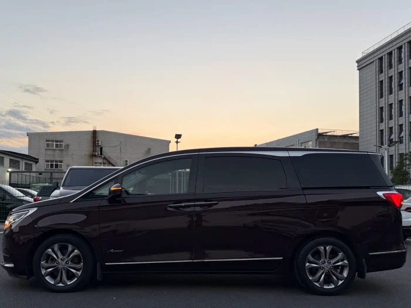 ancove gl8