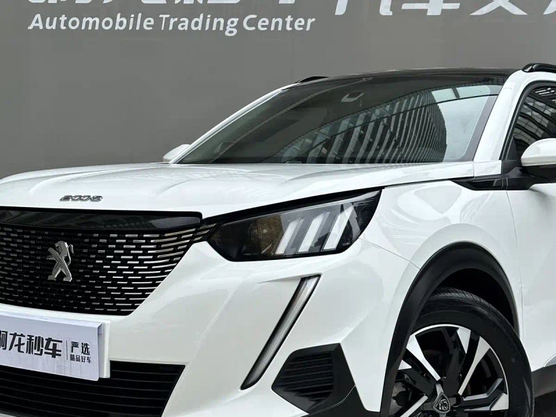 Peugeot peugeot-2008