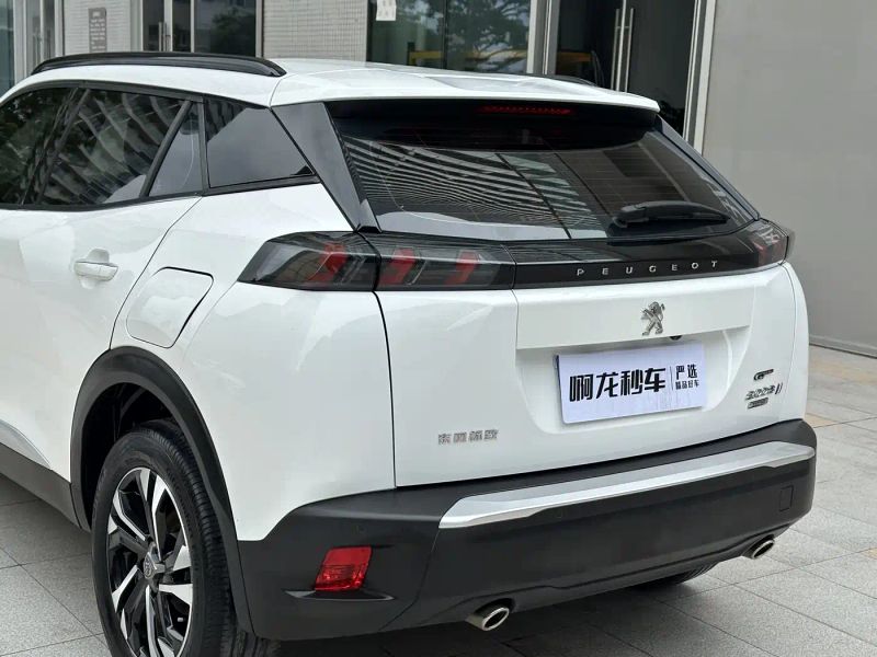 Peugeot peugeot-2008
