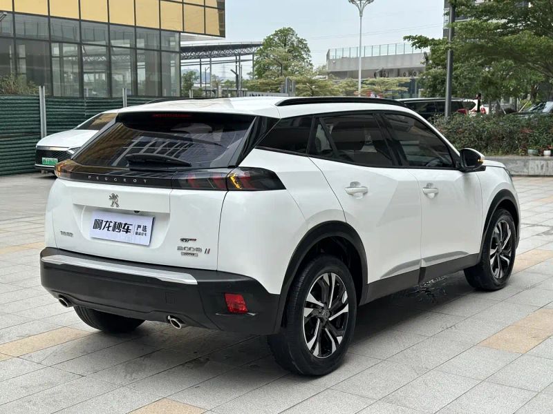 Peugeot peugeot-2008