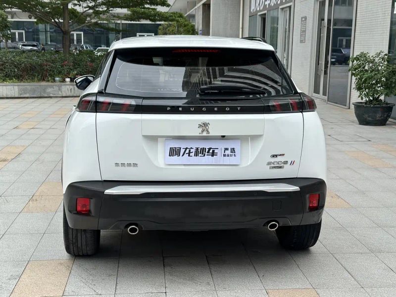 Peugeot peugeot-2008