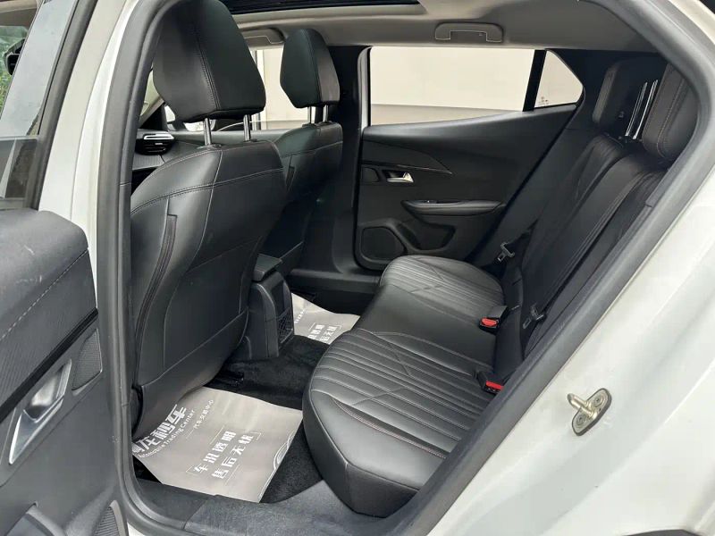Peugeot peugeot-2008