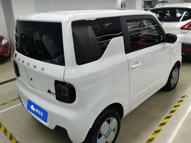 xingyuan pandamini