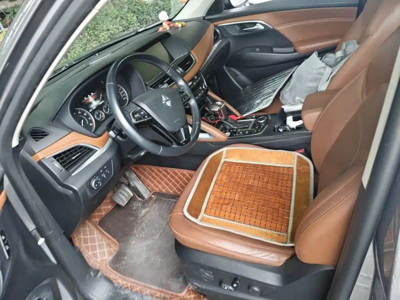 Borgward bx7