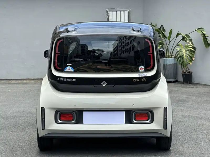Baojun kiwi