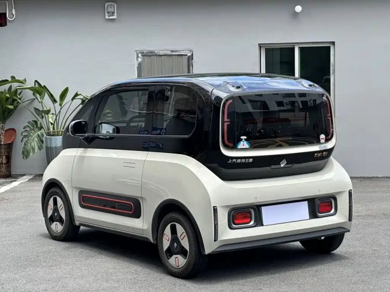 Baojun kiwi