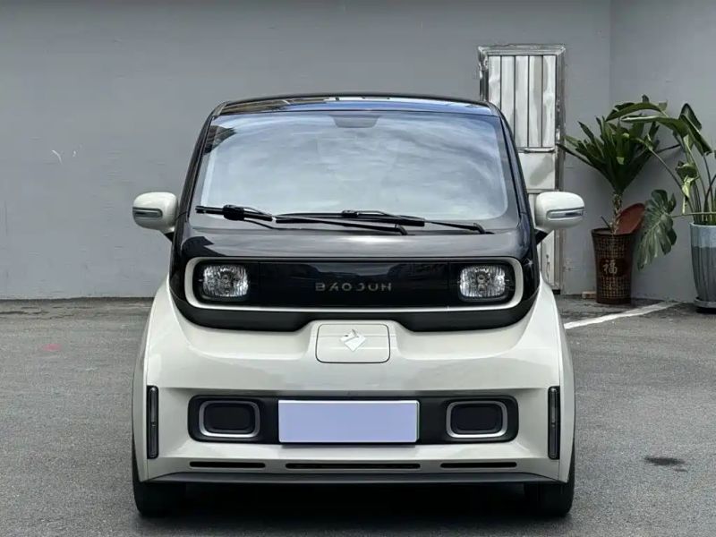 Baojun kiwi