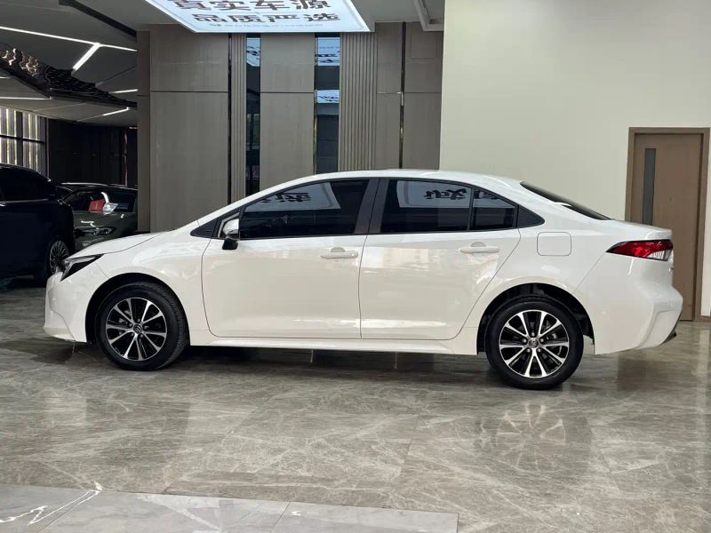 alphard leiling