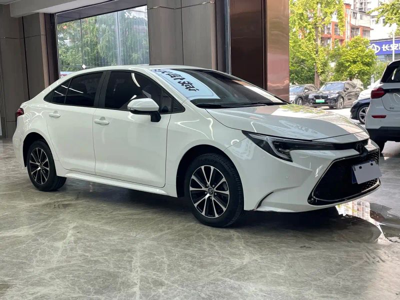 alphard leiling
