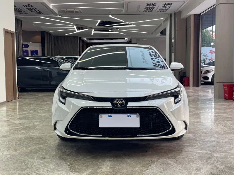 alphard leiling