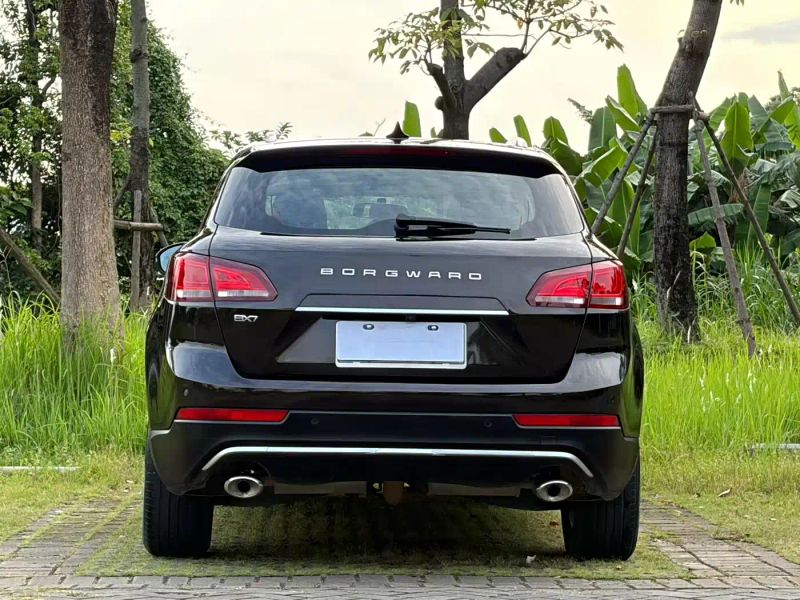 Borgward bx7
