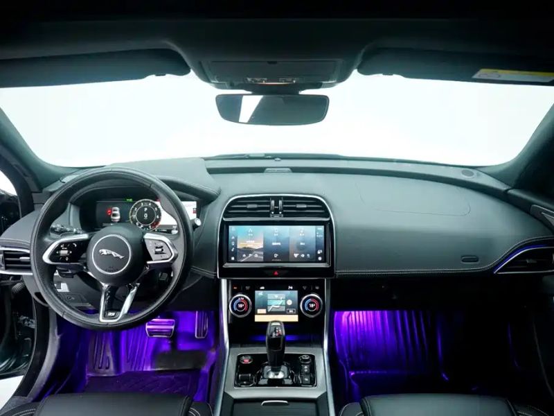 Jaguar xel