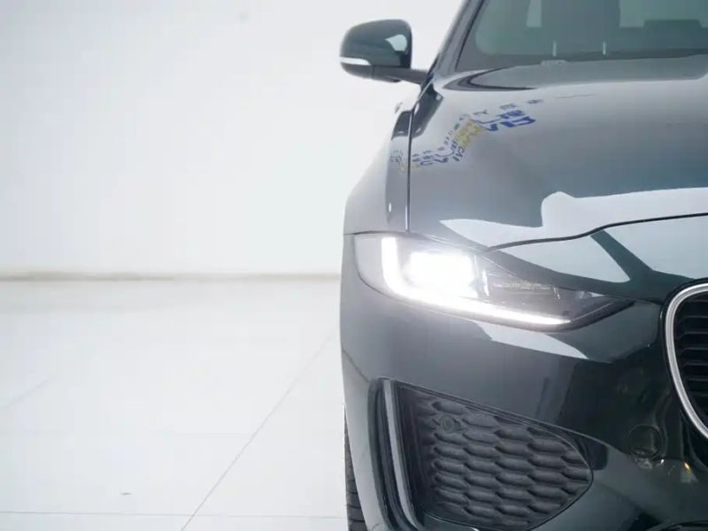 Jaguar xel