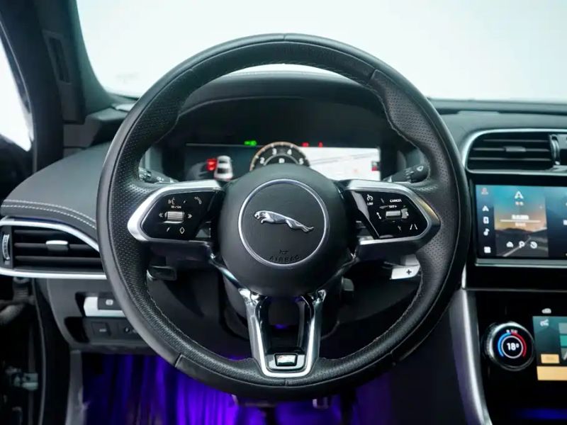 Jaguar xel