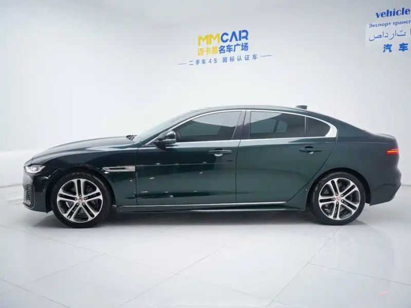 Jaguar xel