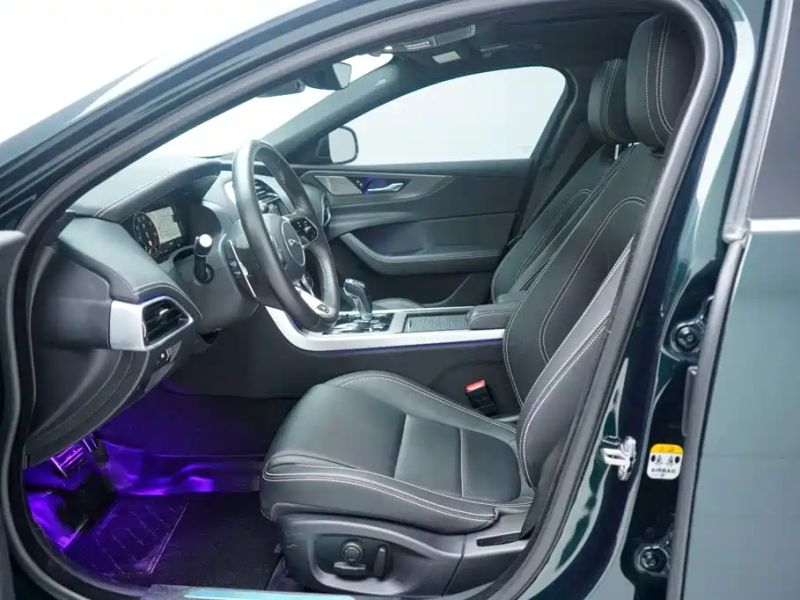 Jaguar xel