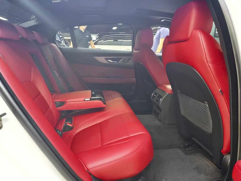 Jaguar xel