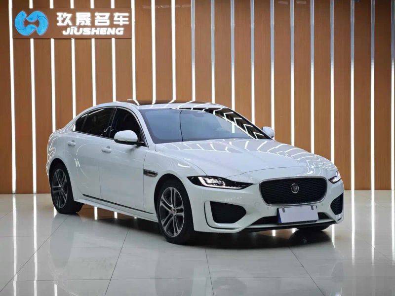 Jaguar xel
